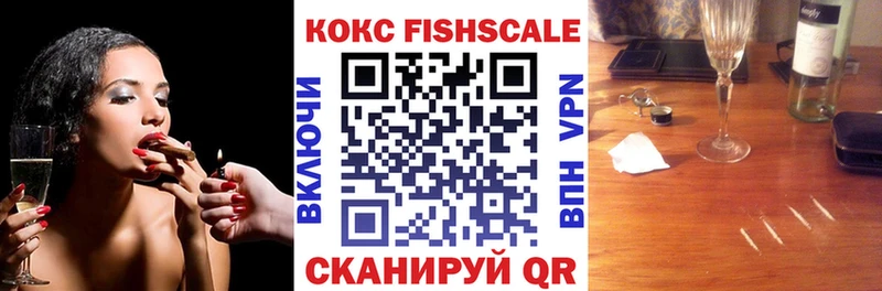 Кокаин FishScale  мориарти официальный сайт  Касимов  купить  цена 