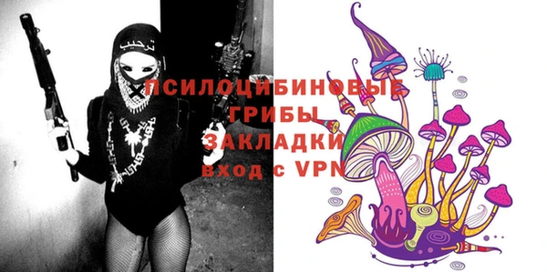 прущая мука Каменногорск